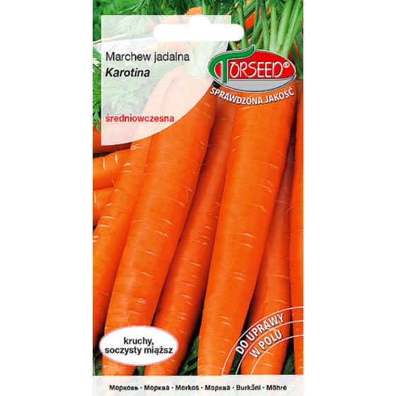 POMIDOR KARŁOWY MASKOTKA  100N OTOCZKA