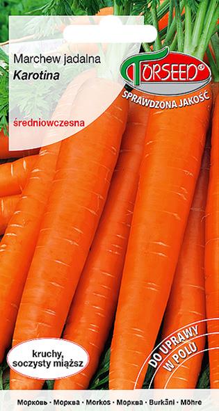 POMIDOR KARŁOWY MASKOTKA  100N OTOCZKA