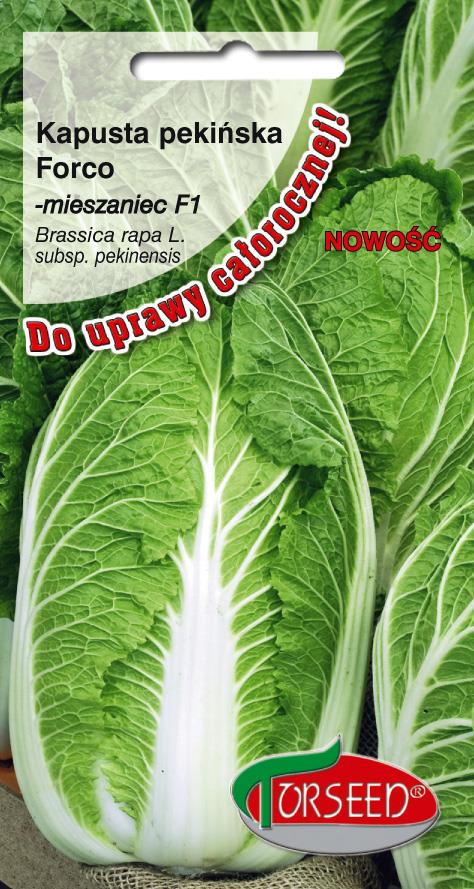 KAPUSTA PEKIŃSKA FORCO 0,5 g