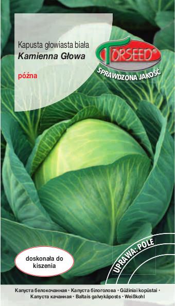 KAPUSTA BIAŁA KAMIENNA GŁOWA 2 g