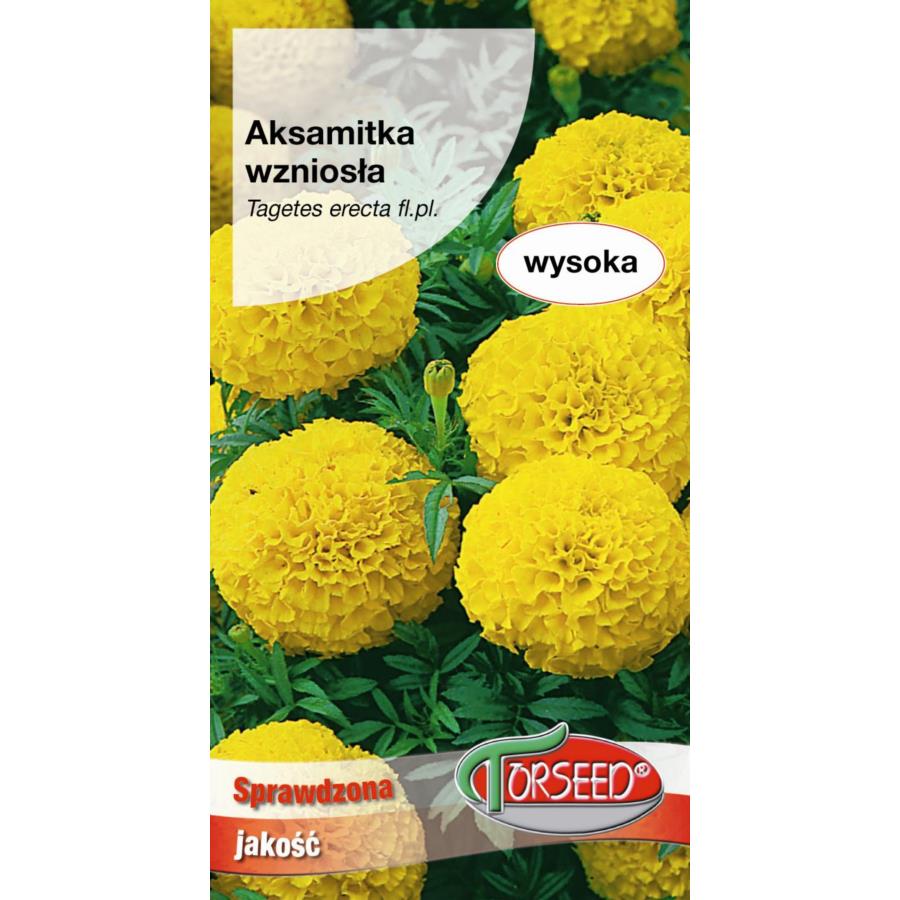 AKSAMITKA WZNIOSŁA WIELKOKWIATOWA 1 g