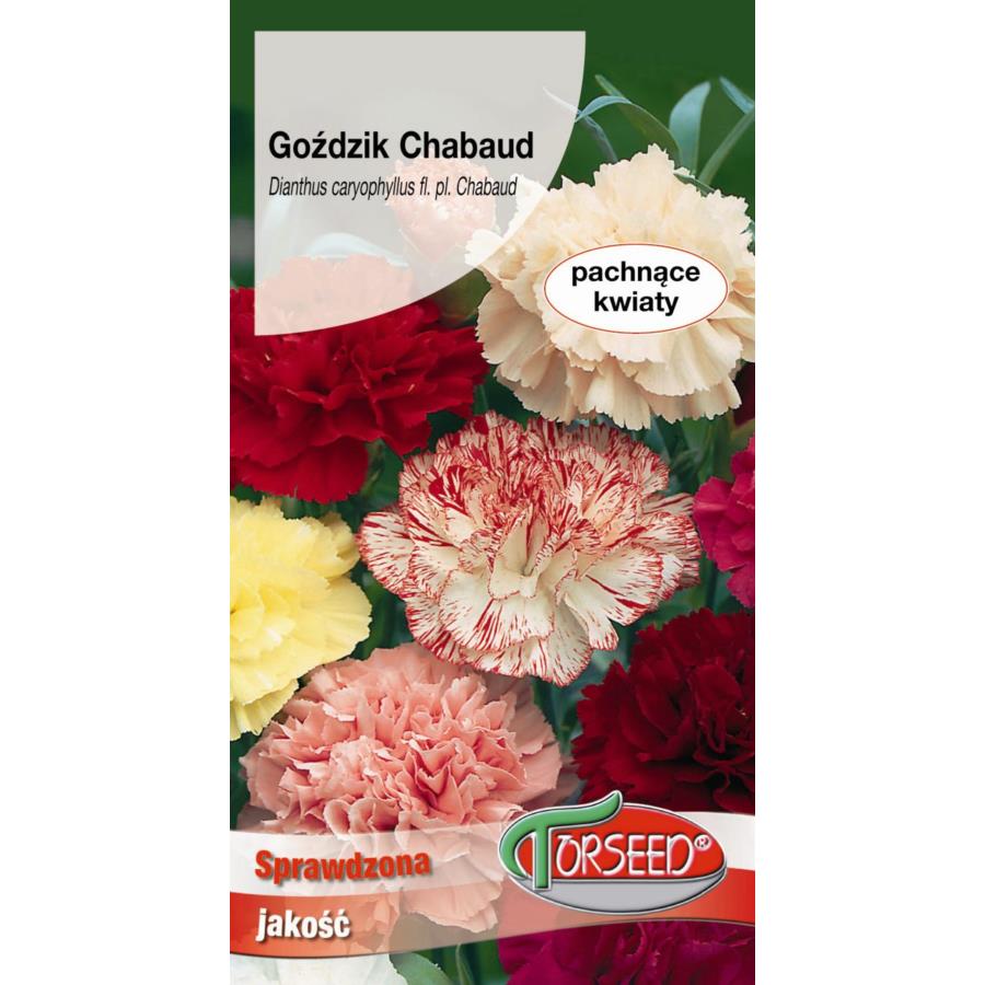 GOŹDZIK CHABAUD 0,5 g