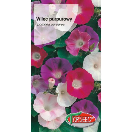 WILEC PURPUROWY 5 g,