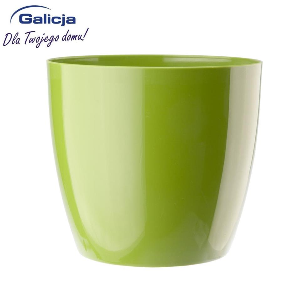 DONICZKA AGA 12 cm ZIEL