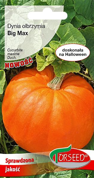 DYNIA OLBRZYMIA BIG MAX 3 g,