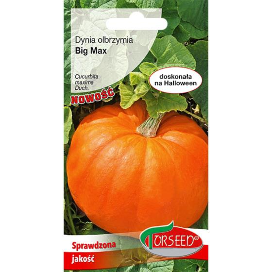 DYNIA OLBRZYMIA ATLANTIC GIANT 3 g,