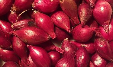 CEBULA DYMKA RED BARON 250 g,