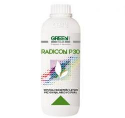RADICON P30 1 L,