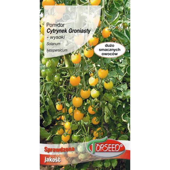 POMIDOR CYTRYNEK GRONIASTY 0,1 g,