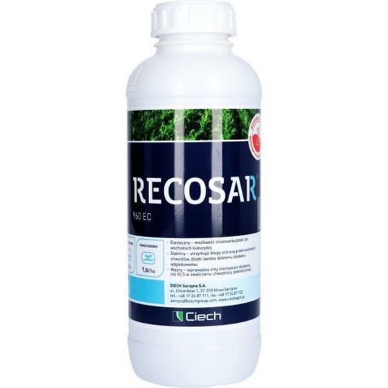 RECOSAR 1 L,