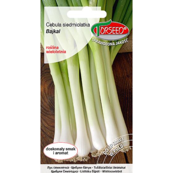 CEBULA AILSA CRAIG 1g