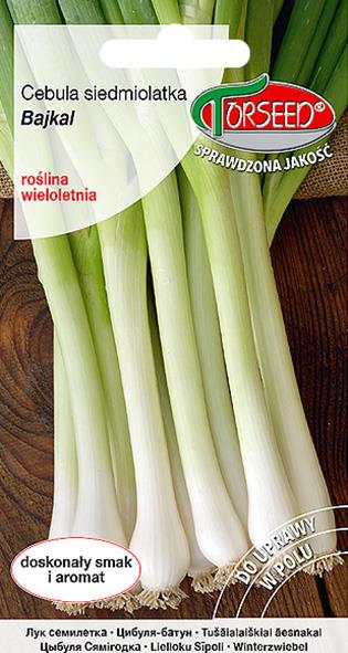 CEBULA AILSA CRAIG 1g