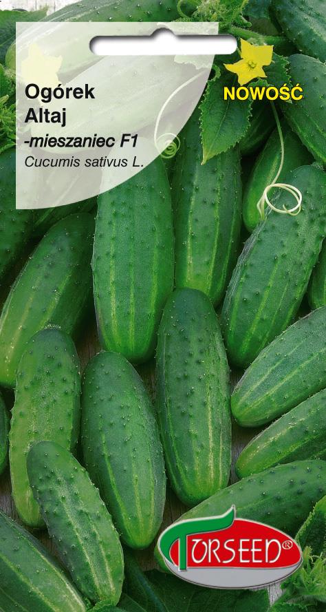 OGÓREK ALTAJ 3G TORSED