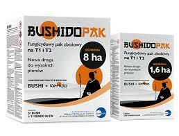 BUSHIDOPAK (BUSHI 1L + KENDO 0,2L)