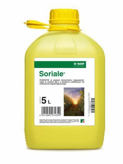 SORIALE 5L,