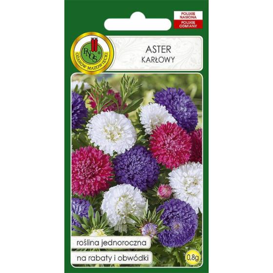 ASTER KARŁOWY  MIESZANY 1 g