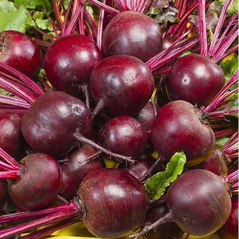 BURAK ĆWIKŁOWY CZERWONA KULA 2  50 G,