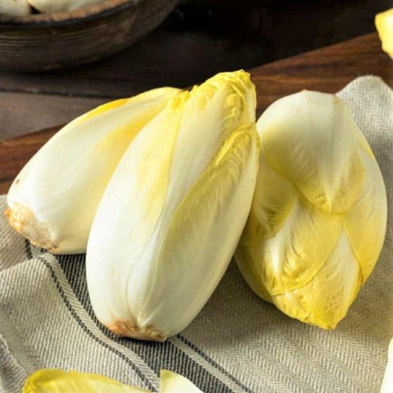 CYKORIA SAŁATOWA 2 G