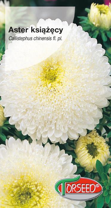 ASTER  KSIĄŻĘCYM MIX 1G,