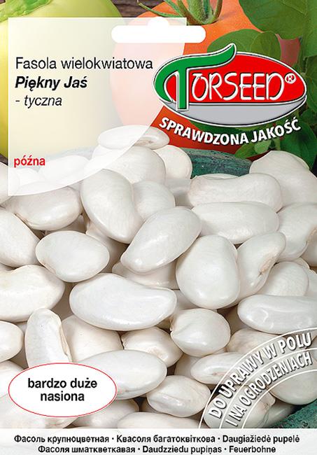 FASOLA PIĘKNY JAŚ TYCZNA 40 g,