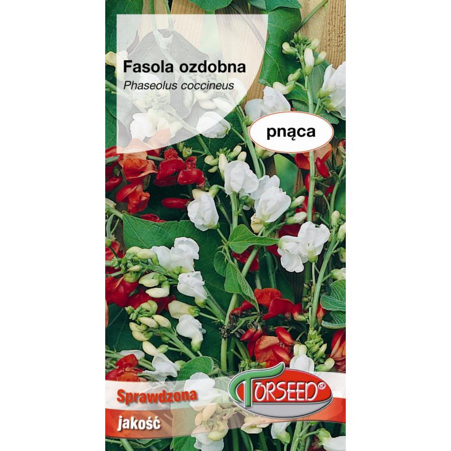 FASOLA OZDOBNA 10 g,