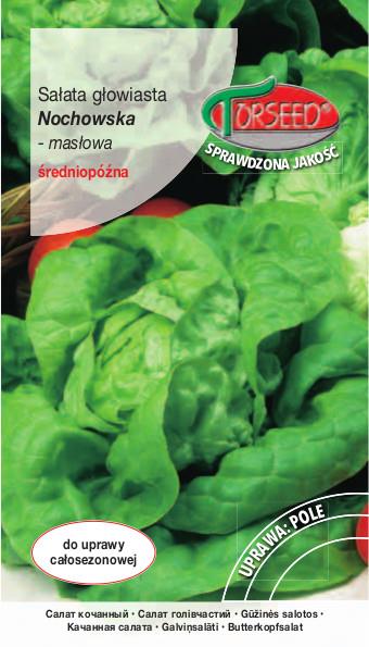 SAŁATA NOCHOWSKA 2 g,