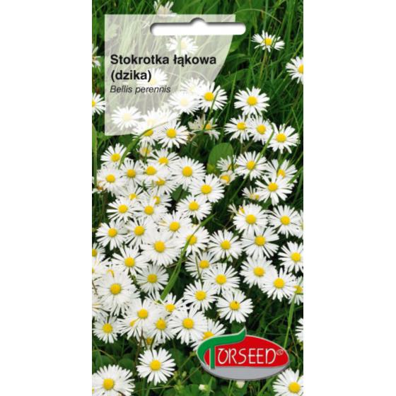STOKROTKA PÓŁPEŁNA  MIX 0,2 g,