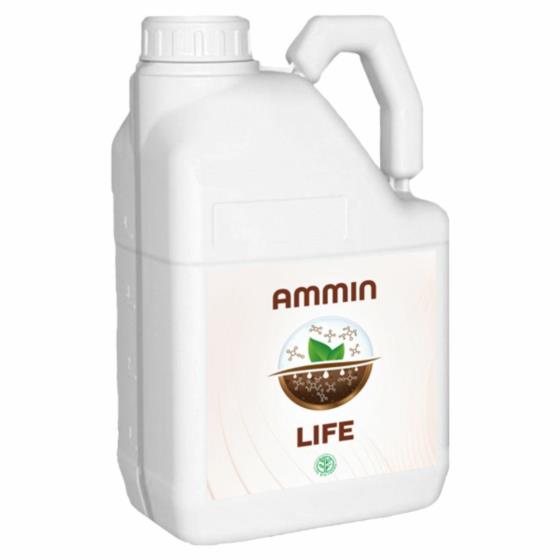 AMMIN LIFE 5 L,