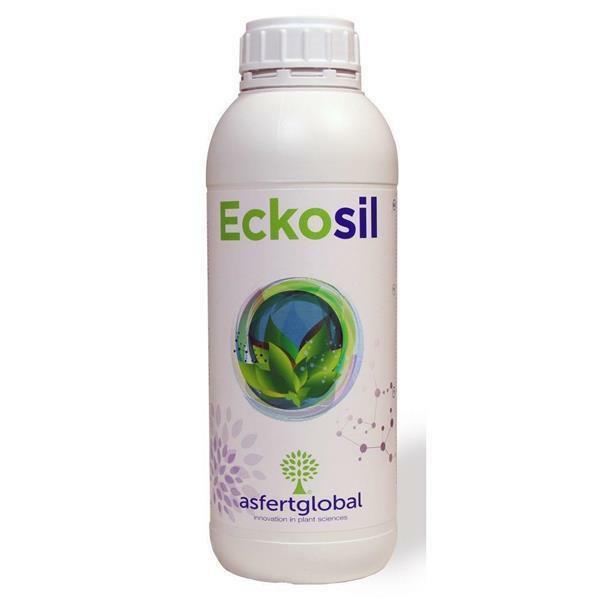 ECKOSIL 5 L,