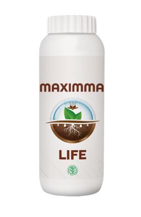 MAXIMMA LIFE 1 L