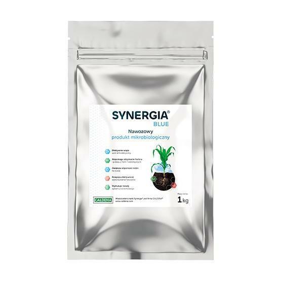 SYNERGIA BLUE 1 KG