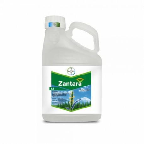 ZANTARA 216EC 5 L,