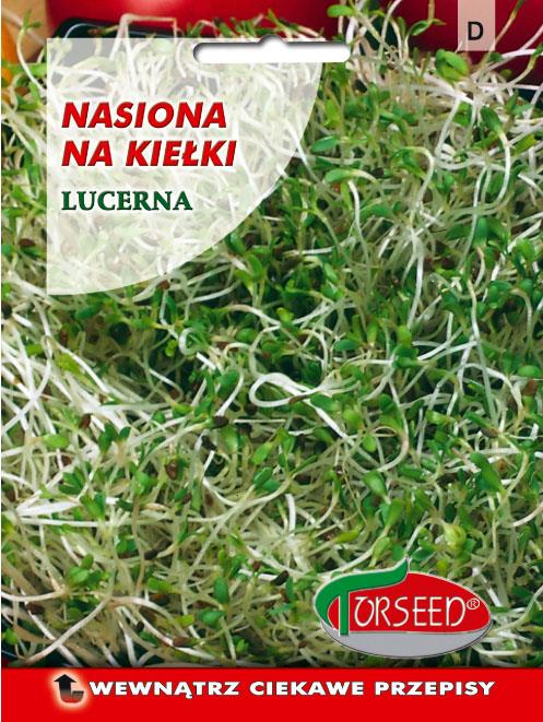LUCERNA SIEWNA PLATO C/1 0,5 KG
