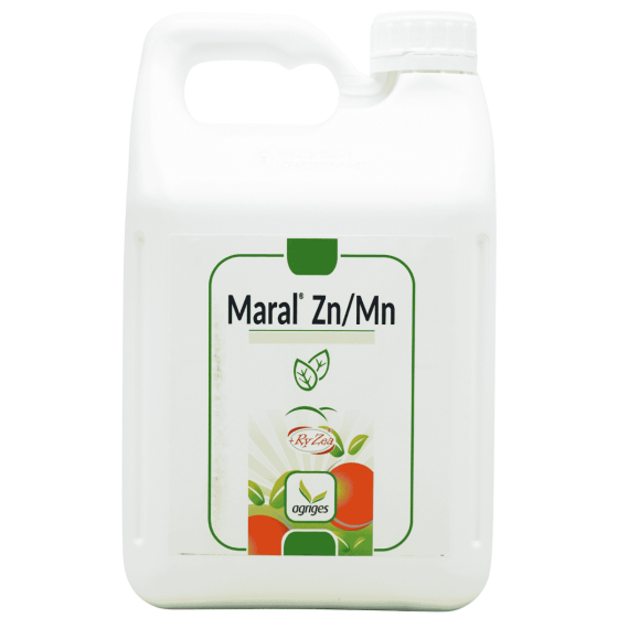 MARAL ZN, MN 5 L