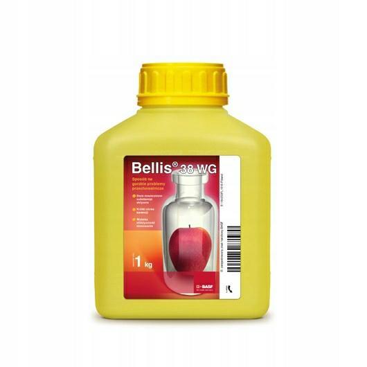 STOKROTKA 38 WG 1 KG,