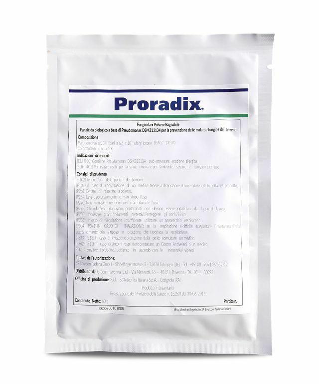 ZAPRAWA PRORADIX 60 g,