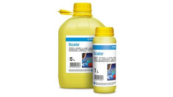 SCALA 400 SC 1 L,