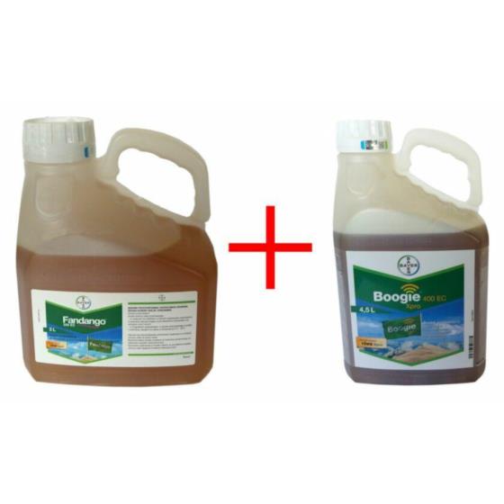 PAKIET BOOGIEXPRO 15L+FANDANGO2*5L,